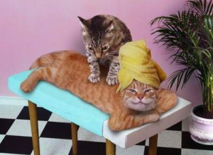 massageneko
