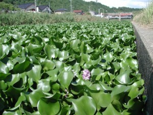 zu2002_09_24dscn8364