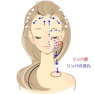 リンパの流れ 顔編11