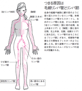 96958A9C93819499E3E0E2E39C8DE3E0E2E4E0E2E3E0E2E2E2E2E2E2-DSXZZO4250210012062012000000-PN1-13