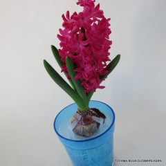 04291557_535f4d46388a4