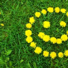 140918happiness-thumb-640x361-79744